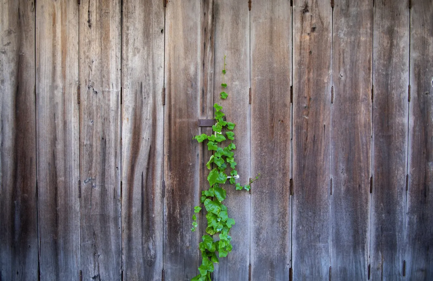 Guardian Senior Home on Nevada