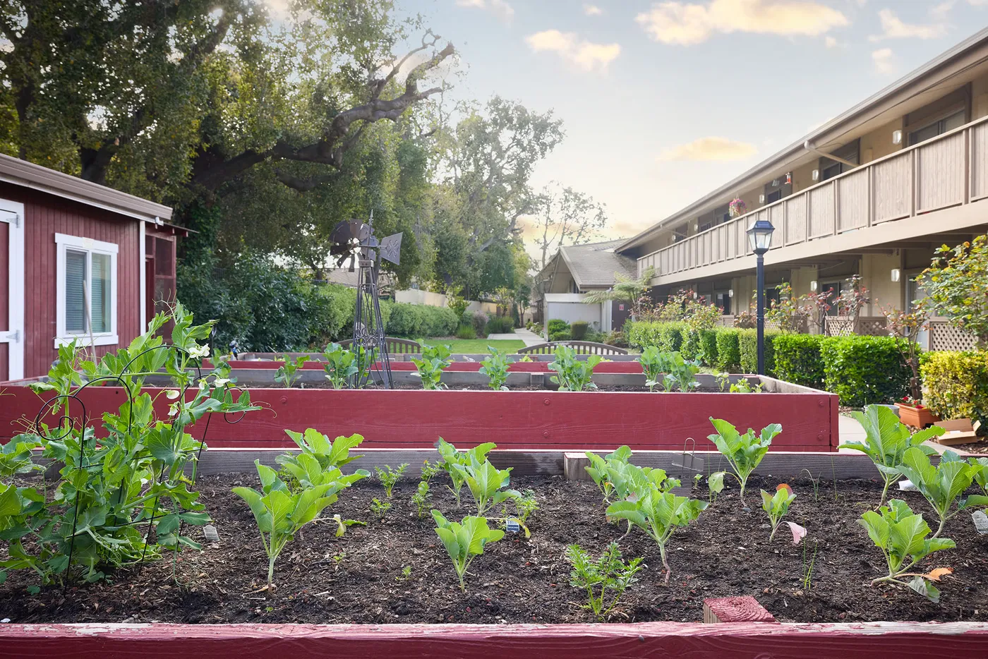 Bridgepoint at Los Altos